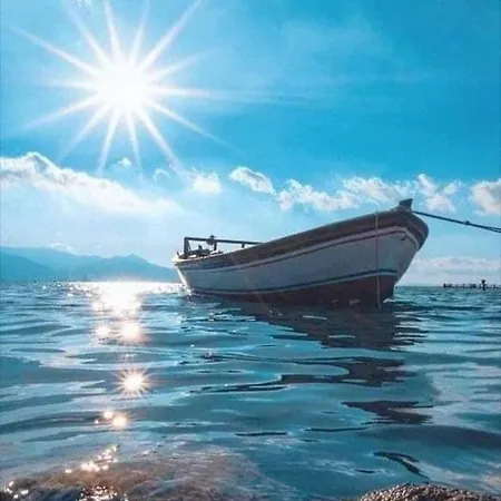 Lily A Vikendica *