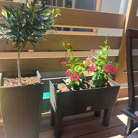 Hébergement de vacances Lily A *